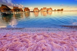 Романтика от природы: пляжи с розовым песком 
