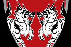 Уряд Таїланду достроково завершив чемпіонат країни з футболу через смерть короля