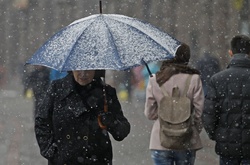 Синоптики обіцяють на суботу дощі