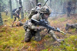 Лучшие снимки года, сделанные фотографами британской армии