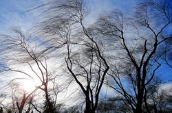 Сьогодні на киян чекає справжній ураган