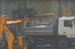 Припинити вирубку ірпінського лісу вимагають активісти