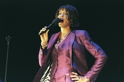 Родственники Уитни Хьюстон проведут собственное расследование