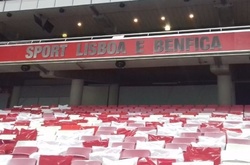 Ліга чемпіонів. Матч «Бенфіка» - «Динамо» викликав шалений ажіотаж у Португалії