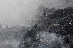 Прокуратура оголосила підозру чиновнику Львівської міськради у справі сміттєзвалища