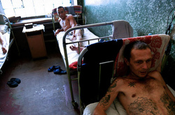 Масове захворювання бойовиків на коросту