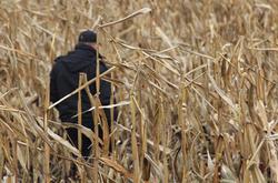 Поліція спіймала серійних крадіїв елітних автівок в кукурудзі