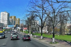 Голосіївський проспект хочуть розширити за рахунок парку