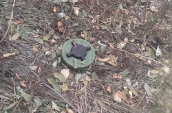 Протипіхотна міна