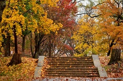 Погода 12 листопада