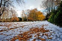 Прогноз погоди на неділю: сніг, ожеледь, пориви вітру