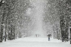 В Китаї з-під снігу врятували 542 людини