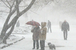 Сильний снігопад в Україні