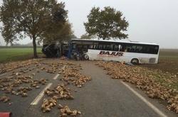 ДТП у Франції