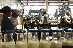 Українська продукція