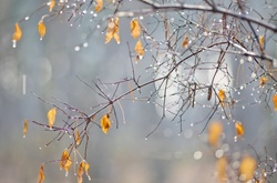 У четвер в Україні потеплішає