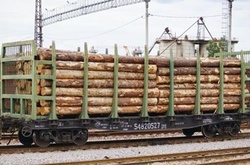 Експорт деревини