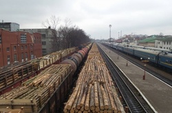 У Нацполіції відзвітували: нелегальний експорт лісу вдалося знизити у п'ять разів