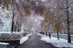 У суботу в Україну повернеться тепло