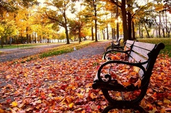 Осіння погода