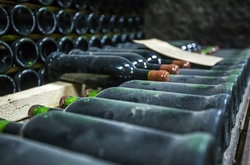 Росія запозичить технологію виробництва вин у Африки