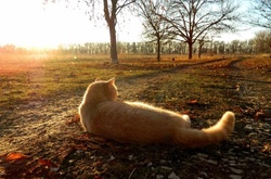 Погода в листопаді