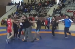 Російські та грузинські борці влаштували масову бійку на Кубку європейських націй