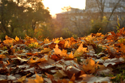 Синоптики опадів на вівторок не обіцяють