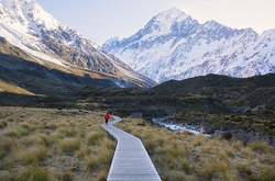Гори Нової Зеландії
