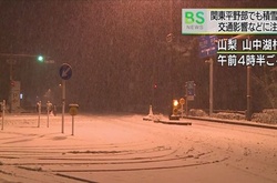 У Токіо вперше за півстоліття випав сніг в листопаді