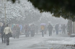 Сніг в Україні&nbsp;