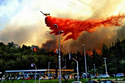 Україна негайно відправить в Ізраїль два спецлітаки для гасіння масштабних пожеж