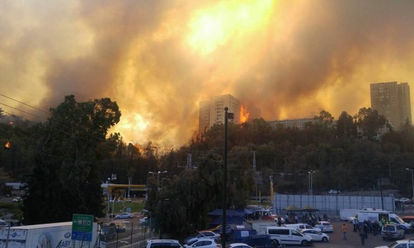 Пожежі в Ізраїлі: прем’єр заявив про новий вид тероризму