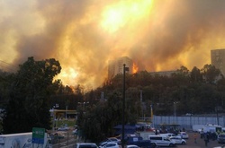 Пожежі в Ізраїлі: прем’єр заявив про новий вид тероризму