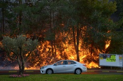 Масштабні пожежі в Ізраїлі
