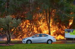 Пожежі в Ізраїлі
