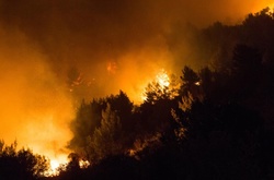 Пожежа в Ізраїлі