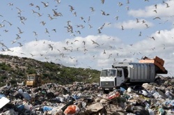 Львівське сміття