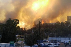 Пожежі в Ізраїлі