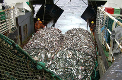 У Греції за підозрою в «сигаретній контрабанді» затримали українське судно