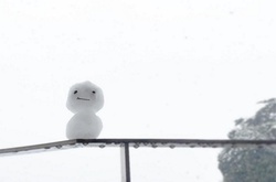 Снежная сказка: 19 волшебных фото Токио, где впервые за 50 лет осенью выпал снег