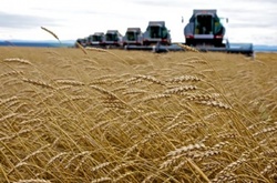 Аграрії вимагають зустрічі з президентом. Інакше – акції протесту