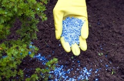 Добрива для рослин&nbsp;