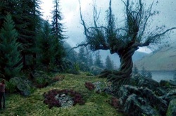 Самые известные в мире деревья, прославившиеся в кино, музыке и живописи