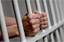 Звільнені за «законом Савченко» здійснили 30 вбивств і 25 тяжких злочинів — Нацполіція