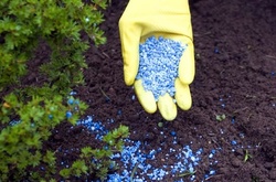 Імпорт добрив