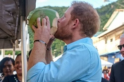 Сексуальный снимок и другие провалы принца Гарри во время визита на Карибы