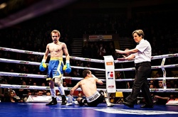 «Українські отамани» пропустять наступний сезон WSB