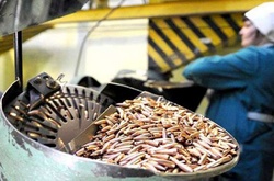 Патронний завод