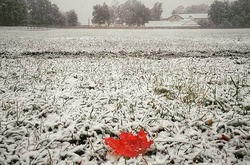 Сніг в Україні